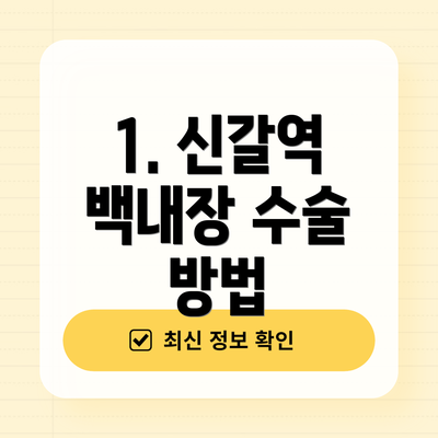 1. 신갈역 백내장 수술 방법