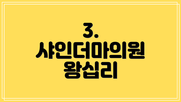 3. 샤인더마의원 왕십리