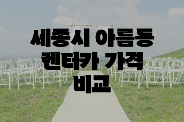 세종시 아름동 렌터카 가격 비교