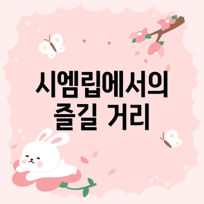 시엠립에서의 즐길 거리