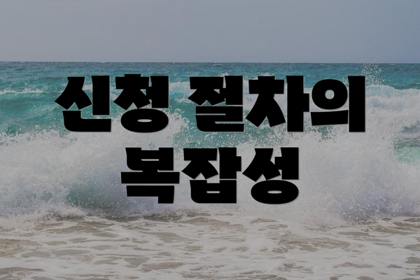 신청 절차의 복잡성