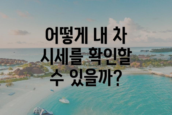 어떻게 내 차 시세를 확인할 수 있을까?