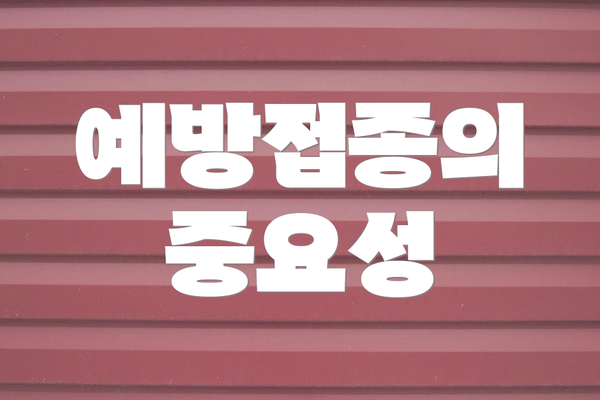 예방접종의 중요성