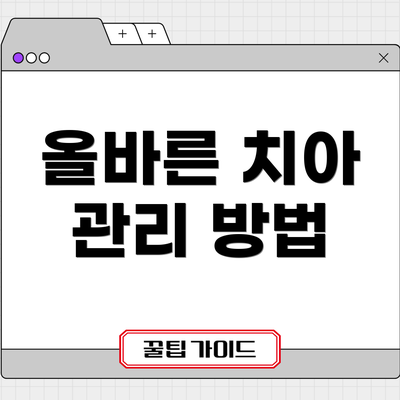 올바른 치아 관리 방법