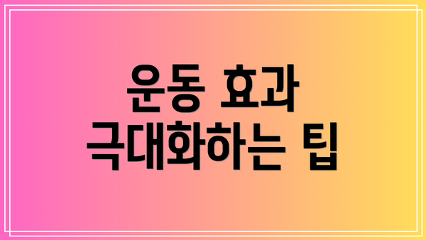 운동 효과 극대화하는 팁