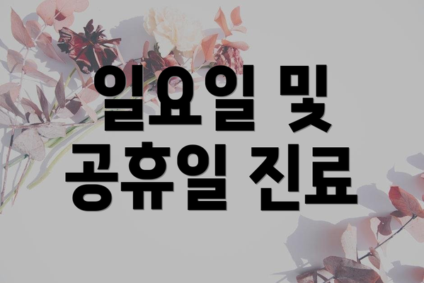 일요일 및 공휴일 진료