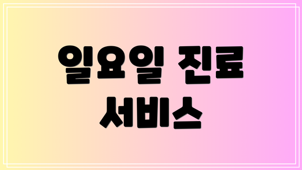 일요일 진료 서비스