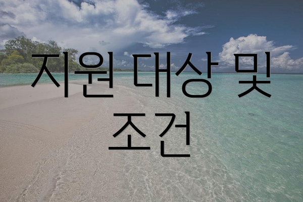 지원 대상 및 조건