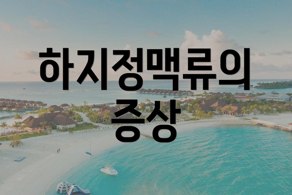 하지정맥류의 증상