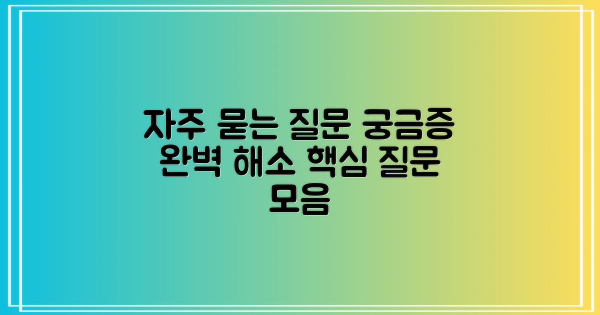 자주 묻는 질문