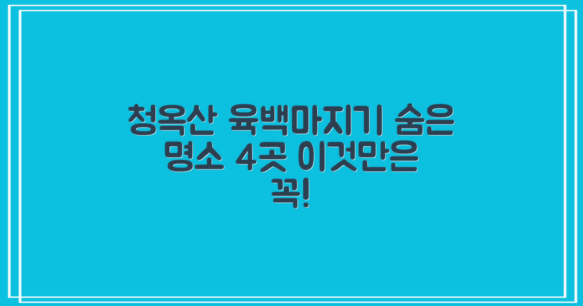 4곳의 숨겨진 명소: 청옥산 육백마지기 여행, 이것만은 꼭!