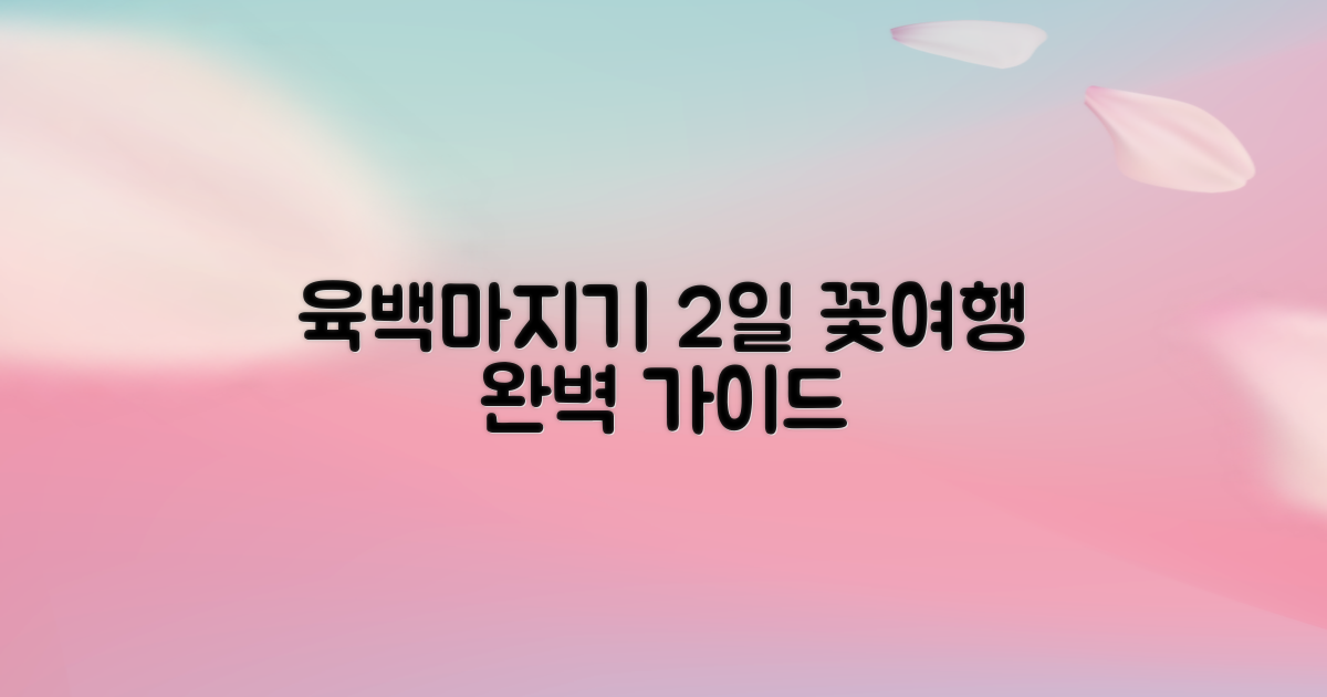 2일 코스 추천: 청옥산 육백마지기 꽃구경 여행 완벽 가이드