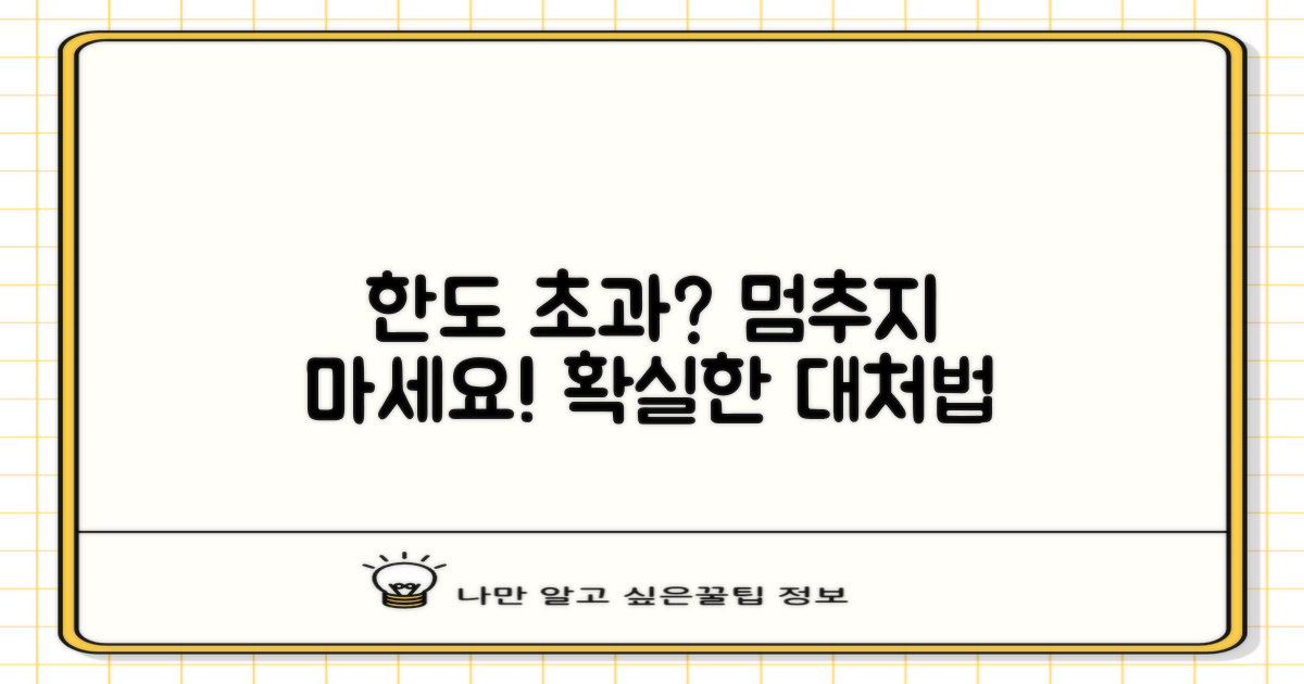 한도 초과 시 대처법, 미리 알아두세요!